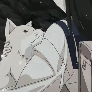 绕着地球转的叫做月亮