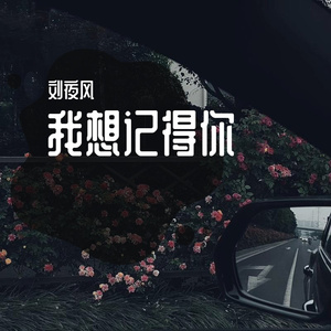 我想记得你