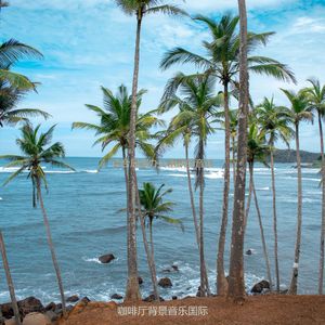 办公事务最好的爵士