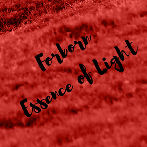 Forborn Essence of Light