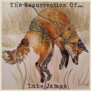 Throwing Punches at the Wind