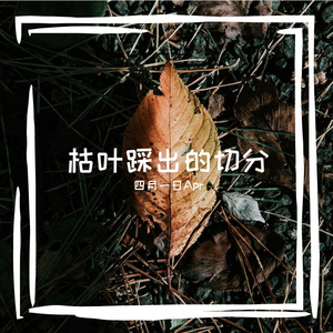 枯叶枯叶