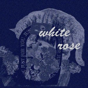 让她降落（cover-live）