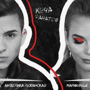 Куча фанатов