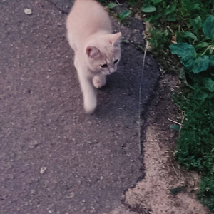 Ночью светлее, чем днём (Album Version)