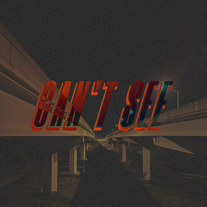 CAN'T SEE