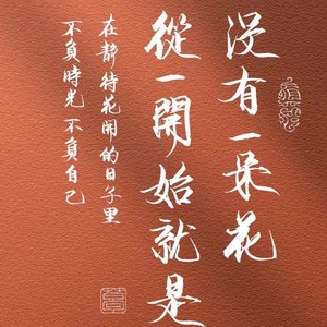 PINKSOUR-侠盗飞车bgm（鸡腿儿先生 remix）