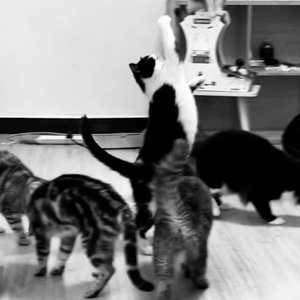 爱褪色 （Prod by AllGsad）