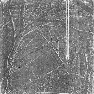 A Paean Under The Silence Of Styx