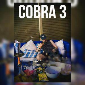 Cobra V3 (feat. Rofix officiel)