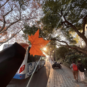 "现在就爱我 别等流星坠落"