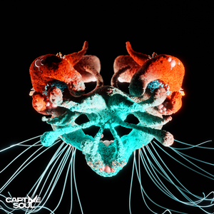 Kraken (Extended Mix)