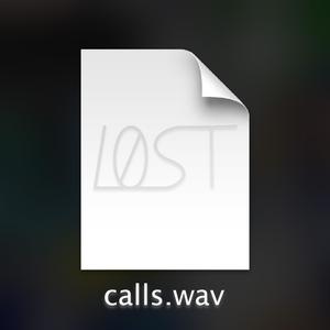 Calls