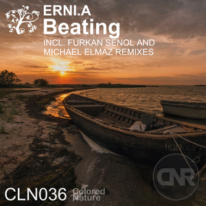 Beating (Furkan Senol Remix)