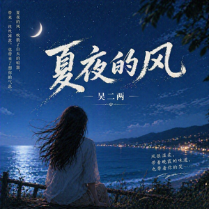 夏夜的风