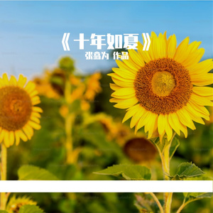 《十年如夏》