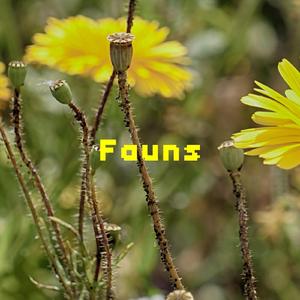 Fauns