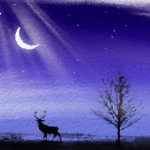 Kiss Fight（0.8x）