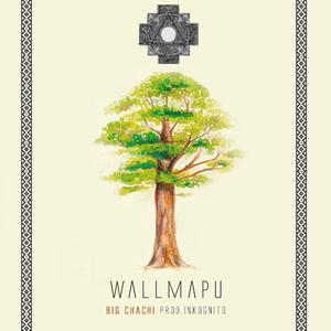 Wallmapu (feat. BIG CHACHI)
