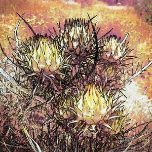 Hallucinated Horizon