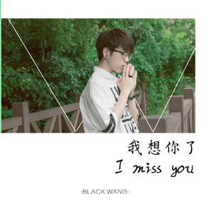 我想你了