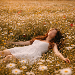 Echoes of a Lost Love