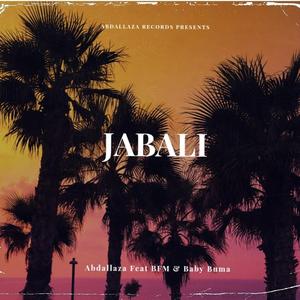 Jabali (feat. BFM & Baby Buma)