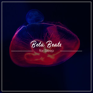 Hair Dryer Low Speed - Delta