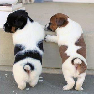 Might Be The Police (sped up)