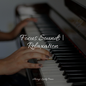 Mendelssohn Lieder ohne Worte (Songs without Words), Book 1, Op. 19b No. 1 in E Major, Op.19-1