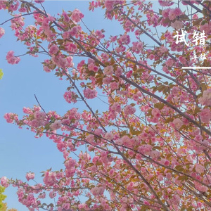 试错