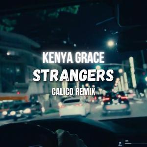 Strangers (REMIX)