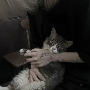 我不要忘了
