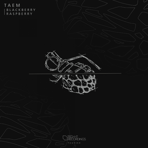 Blackberry (Original Mix)