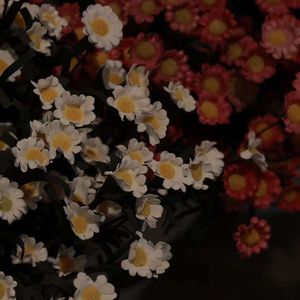 我想我死前身边不能没你