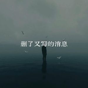 删了又写的消息