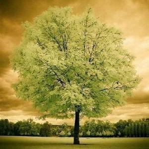 守护你和我伴奏