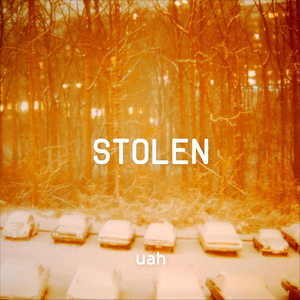 Stolen