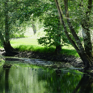如沐春风的小调 (清净解压轻音乐)