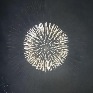 夜色跟在他的身后