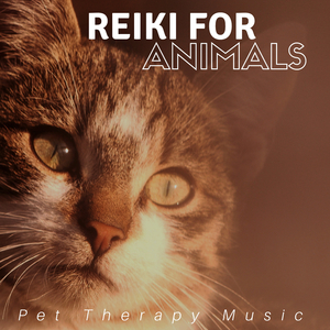 Reiki for Animals