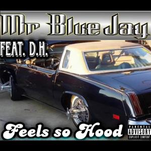 Feels So Hood (feat. D.H)