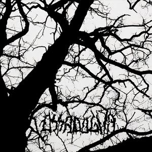 Birth of the Warlock