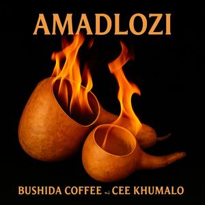 Amadlozi (feat. Cee Khumalo)