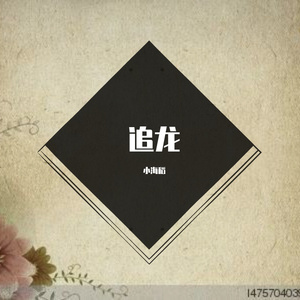 追龙 (dj版 )
