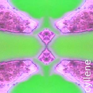 Cyllene