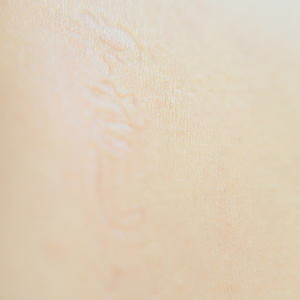 さよならの後で