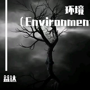 环境（Environment）