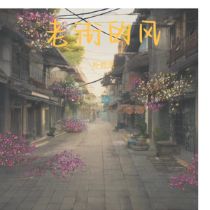 老街的风