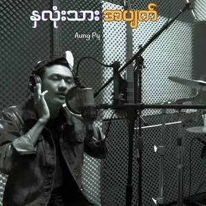 နှလုံးသားအပျက်